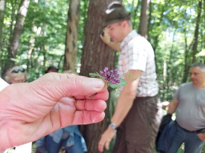 20240615_142325_1920