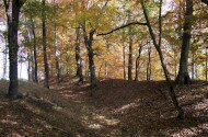 Fortified settlements – Bronze Age and Iron Age 