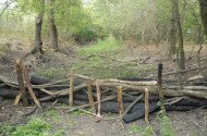 Esőre várva: VízŐrző akció a Telki-legelőn