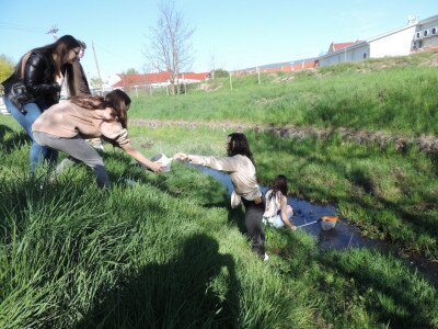                                                                                                                                 