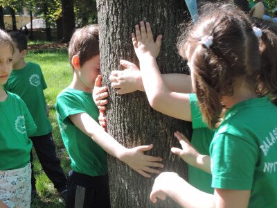                                                                                                                                 