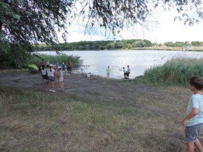                                                                                                                                 