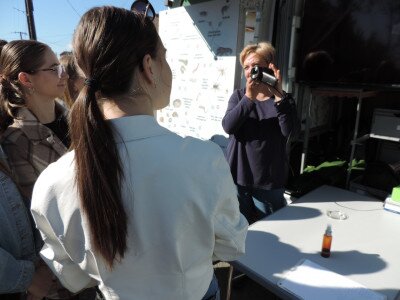                                                                                                                                 