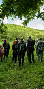 Felsőtárkány – Barát Meadow Nature Trail