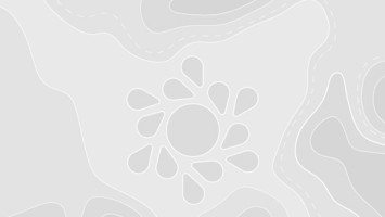 Forestry and industry – Modern Period 