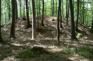 Fortified settlements – Bronze Age and Iron Age 
