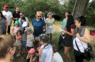 Bükkaljai élővilág napja - Szalakótafióka-gyűrűzés és természetismereti programok Tardon