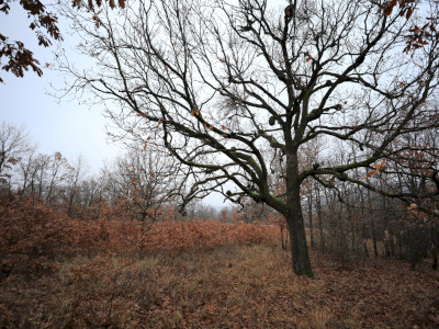 K_A_9584
