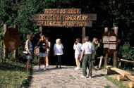 Ipolytarnóci ősmaradványok - 17 millió éves lábnyomok