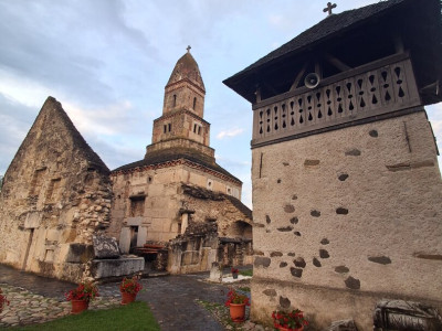 20250817_201539 másolata