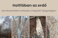 Holtfában az erdő - természetvédelem előadás a Nógrádi Tájegységben