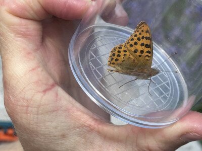 IMG_1699