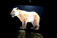 Ipolytarnóci Ősmaradványok bemutatóhely külső