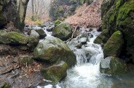 SZAKVEZETÉS A TARJÁNKA-SZURDOKBAN