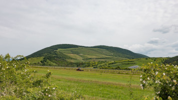Intangible heritage associated with viticulture and winery 