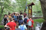 mátra, mátra kincse, természetismeret, természetvédelem, bükki nemzeti park igazgatóság, mátrai tájegység, környezeti nevelés