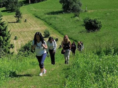 445378685_367736002596052_2208807976923491788_n