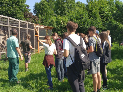 IMG_20240528_093743_601