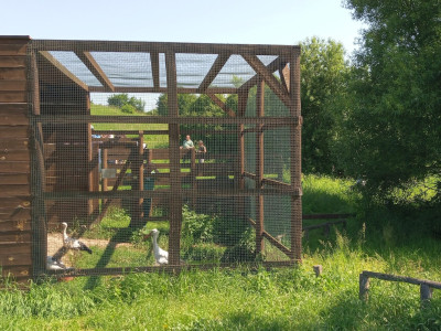 IMG_20240528_100137_428