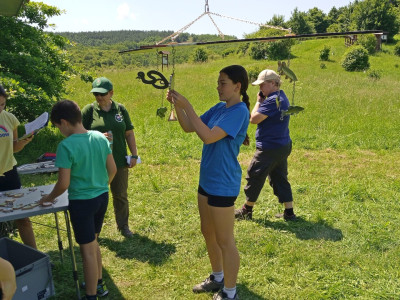 IMG_20240528_120433_496