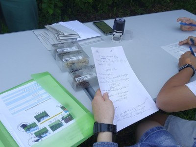 IMG_20240528_114156_158