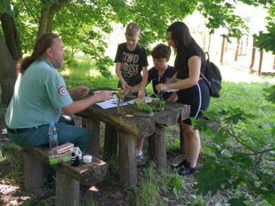 IMG_20240528_114445_715