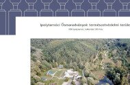 Kulturális Örökség Helyszín az Ősvilági Pompeji