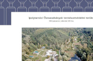 Kulturális Örökség Helyszín az Ősvilági Pompeji