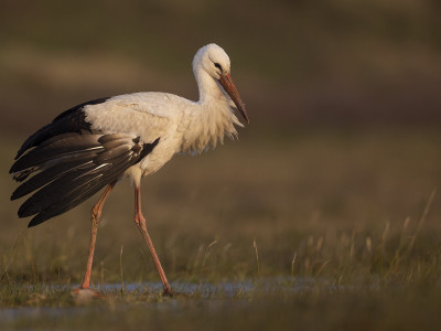 Főkép_Fotó_Jakab_Sándor