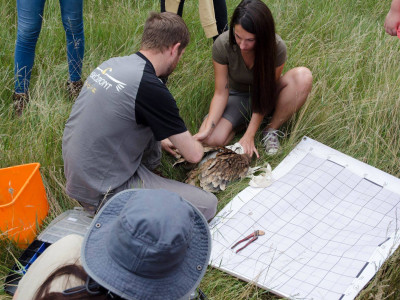 Juhász_Benedek_Fotó.jpg_003