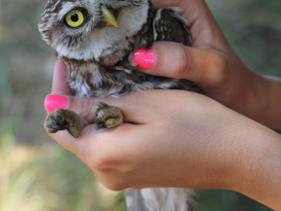 Fotó_Szitta_Tamás_005