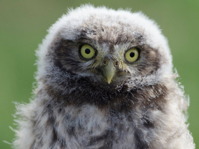 Fotó_Juhász_Benedek_002