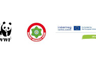 Március végén lezárult a Kárpát-régió nagyragadozóival foglalkozó Interreg LECA projekt
