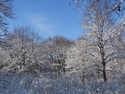 erdo_Sasvári János