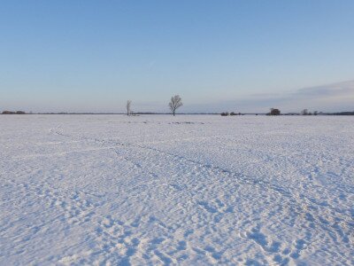 puky_Sasvári János