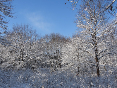 erdo_Sasvári János
