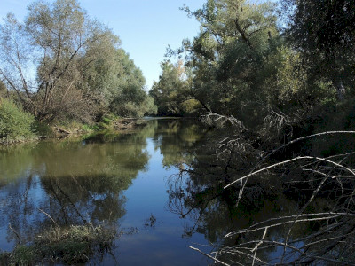 A Sajó  Fotó: Bartha Csaba