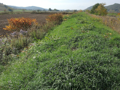 Gát  Fotó: Bartha Csaba