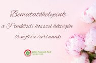 Pünkösdi ünnepi nyitvatartás