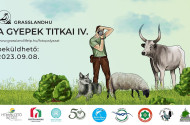 Sajtóközlemény - A gyepek titkai IV. fotópályázat