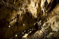 Bükki Nemzeti Park Igazgatóság, Szent István-barlang, Turizmus Világnapja, denevér