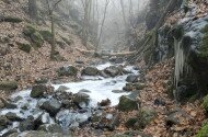 Tarjánka-szurdok