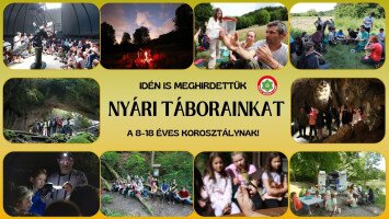 Természetismereti nyári táborok 2025-ben is!