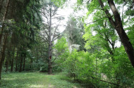 Tuzson Arboretum of Fenyvespuszta