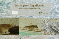 Új természetismereti modul a Harkály Házban - Patak parti foglalkozás